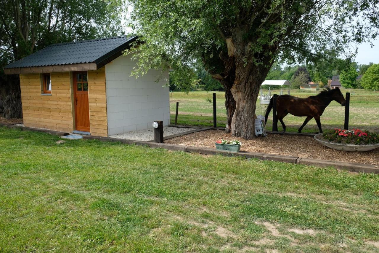 Camping Des Saules Jurbise エクステリア 写真